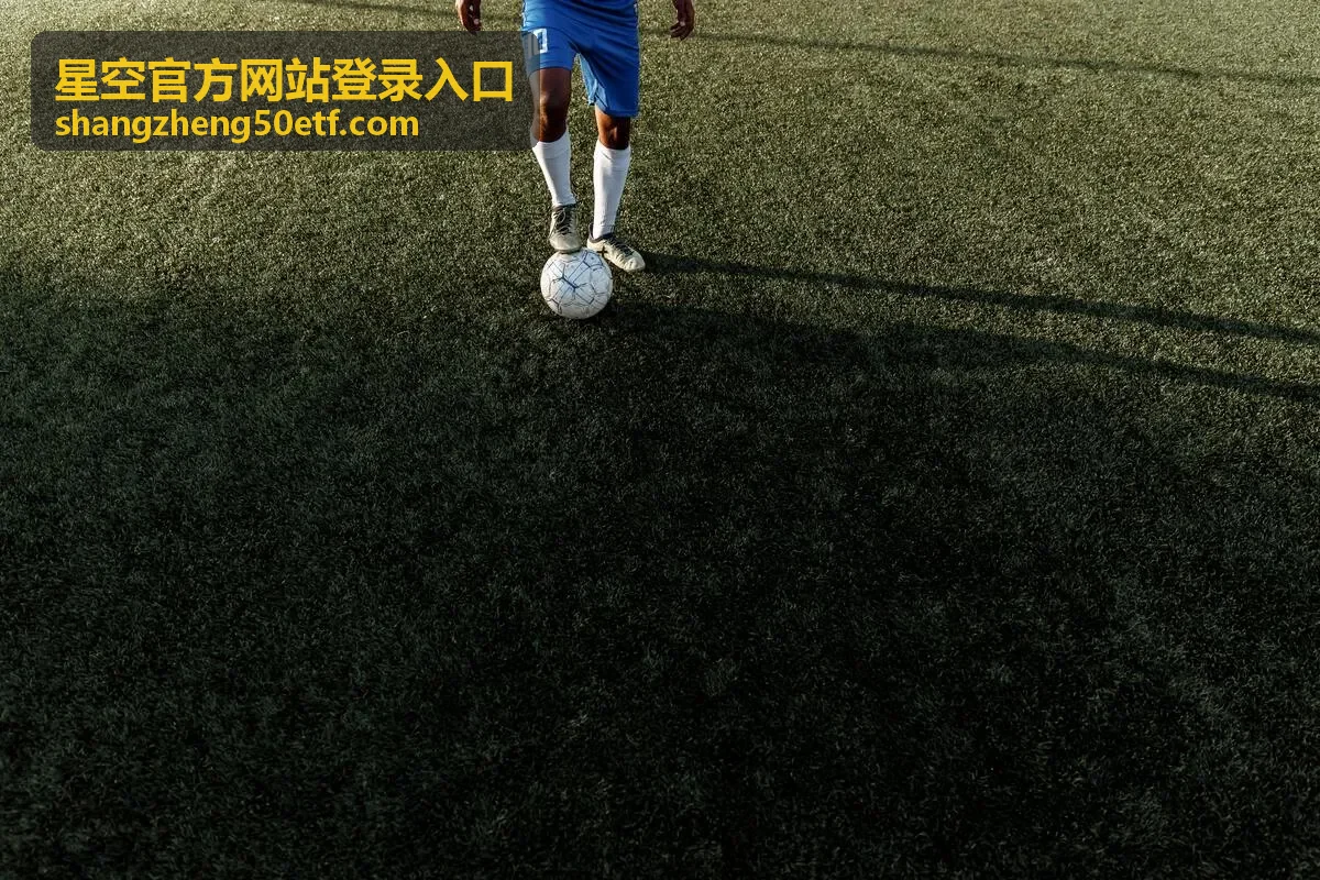 星空官方网站登录入口的手机验证方式