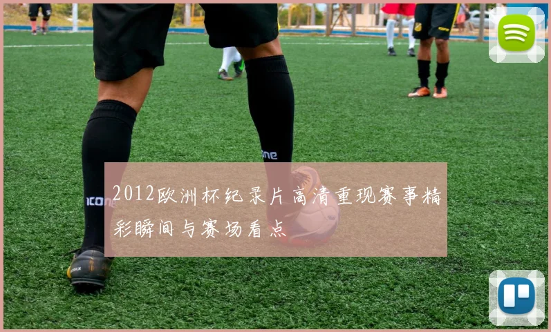 2012欧洲杯纪录片高清重现赛事精彩瞬间与赛场看点