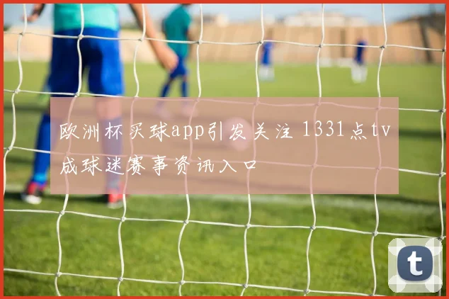 欧洲杯买球app引发关注 1331点tv成球迷赛事资讯入口