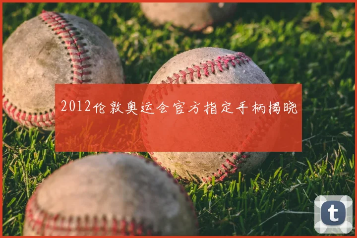 2012伦敦奥运会官方指定手柄揭晓