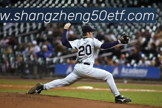 beat365平台唯一官网APP 高清赛事图