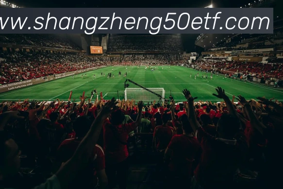 数据防护可视化